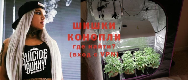тгк Арсеньев