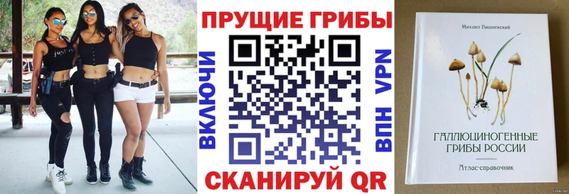 Псилоцибиновые грибы Psilocybine cubensis  Ревда 